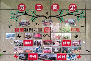 员工风采